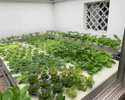 客戶定制方案五——家庭陽(yáng)光房